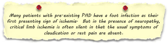 Many patients with pre-existing PAD have a foot infection as their first presenting sign of ischemia.  But in the presence of neuropathy, critical limb ischemia is often silent in that the usual symptoms of claudication or rest pain are absent. 